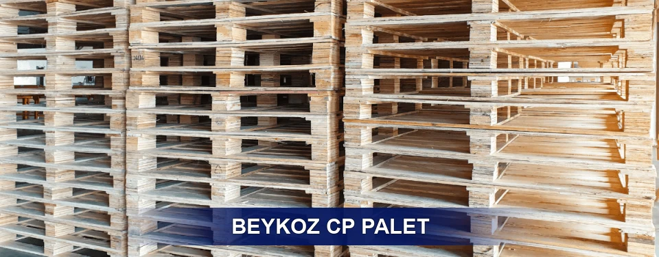 Beykoz Standart Tipler