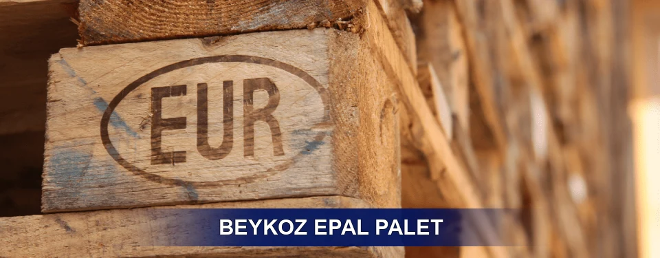Beykoz Standart Yapı