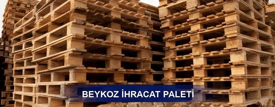 Beykoz ISPM 15 Seçimi