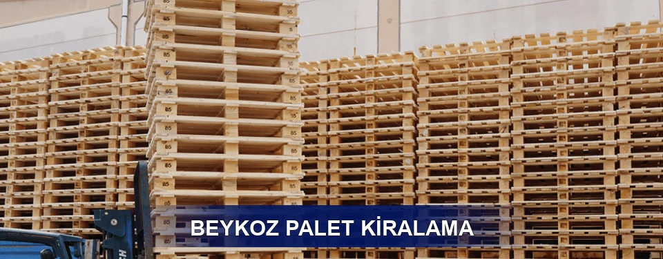 Beykoz Uzun Dönem