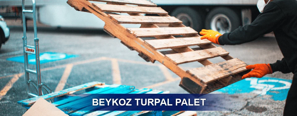 Beykoz Market Uyumu